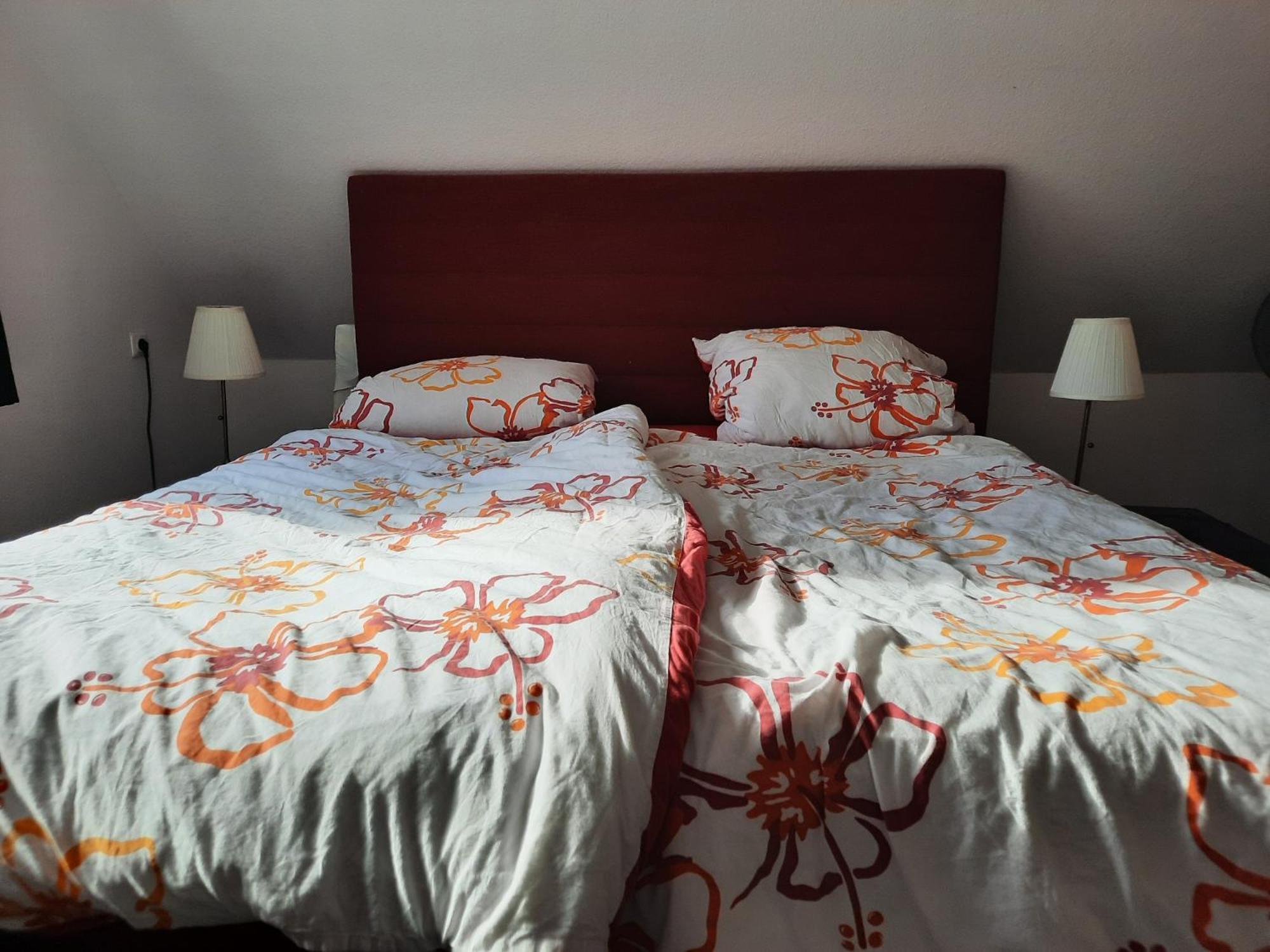 Ferienwohnung Yachthof Scheid Scheid  Esterno foto